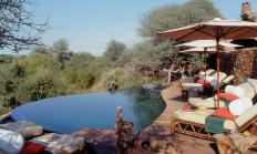 makanyane safarilodge10