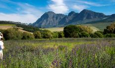 babylonstoren