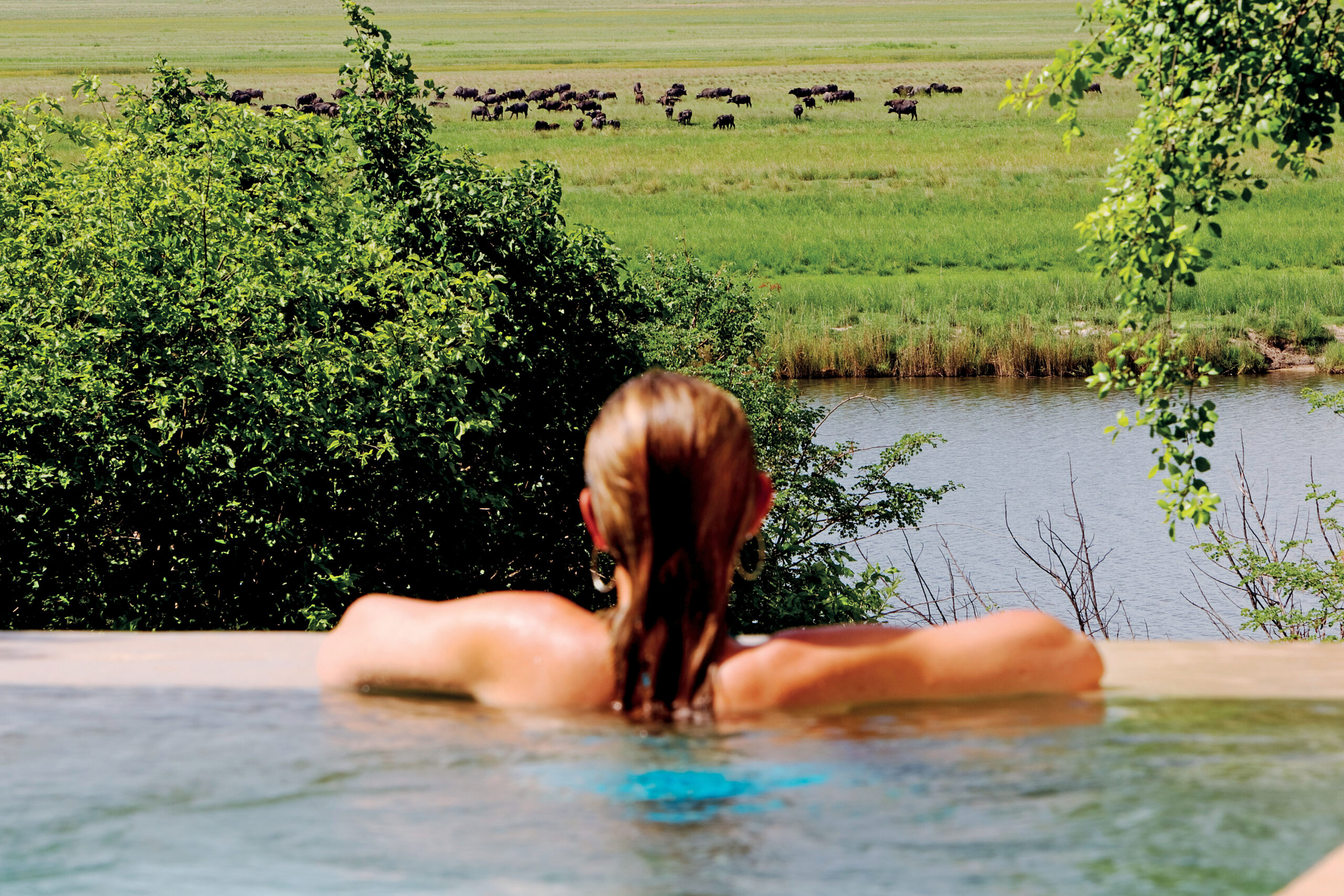 Chobe Game Lodge
