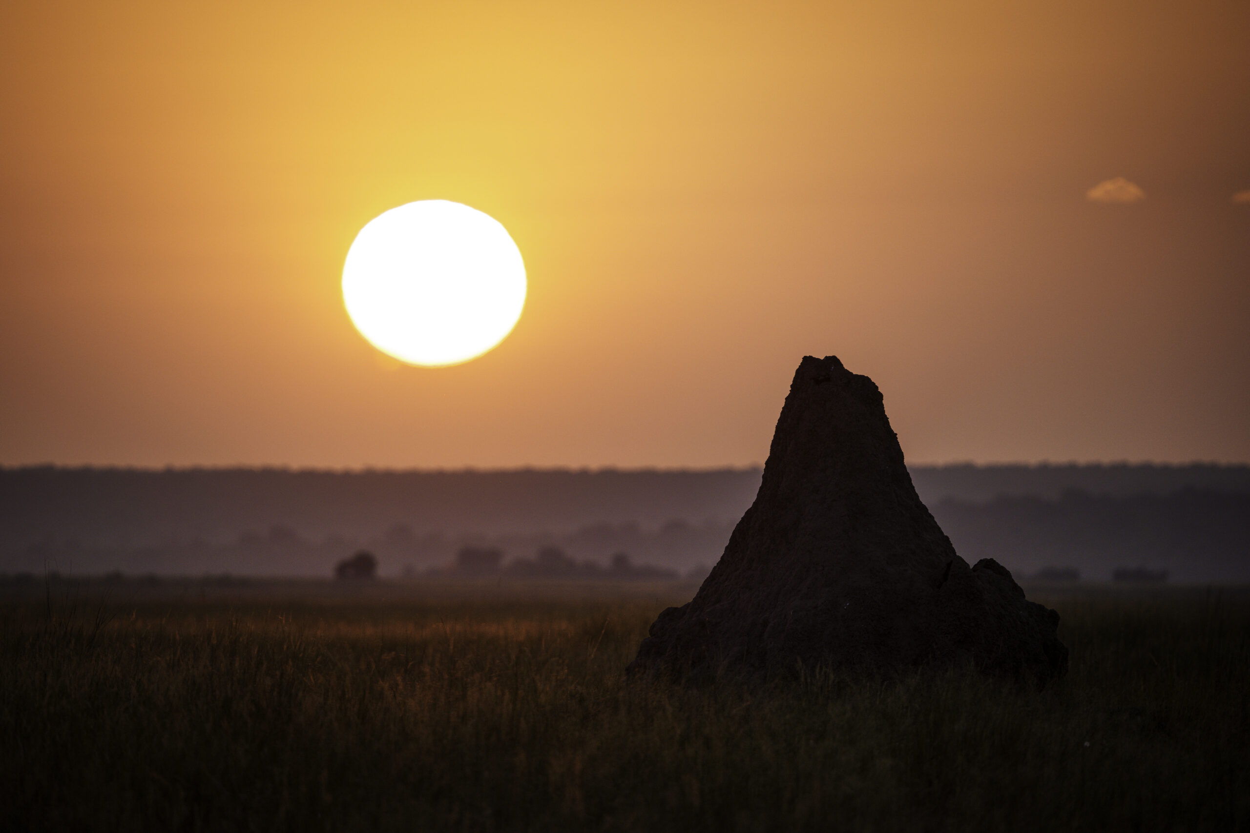 Chobe Game Lodge