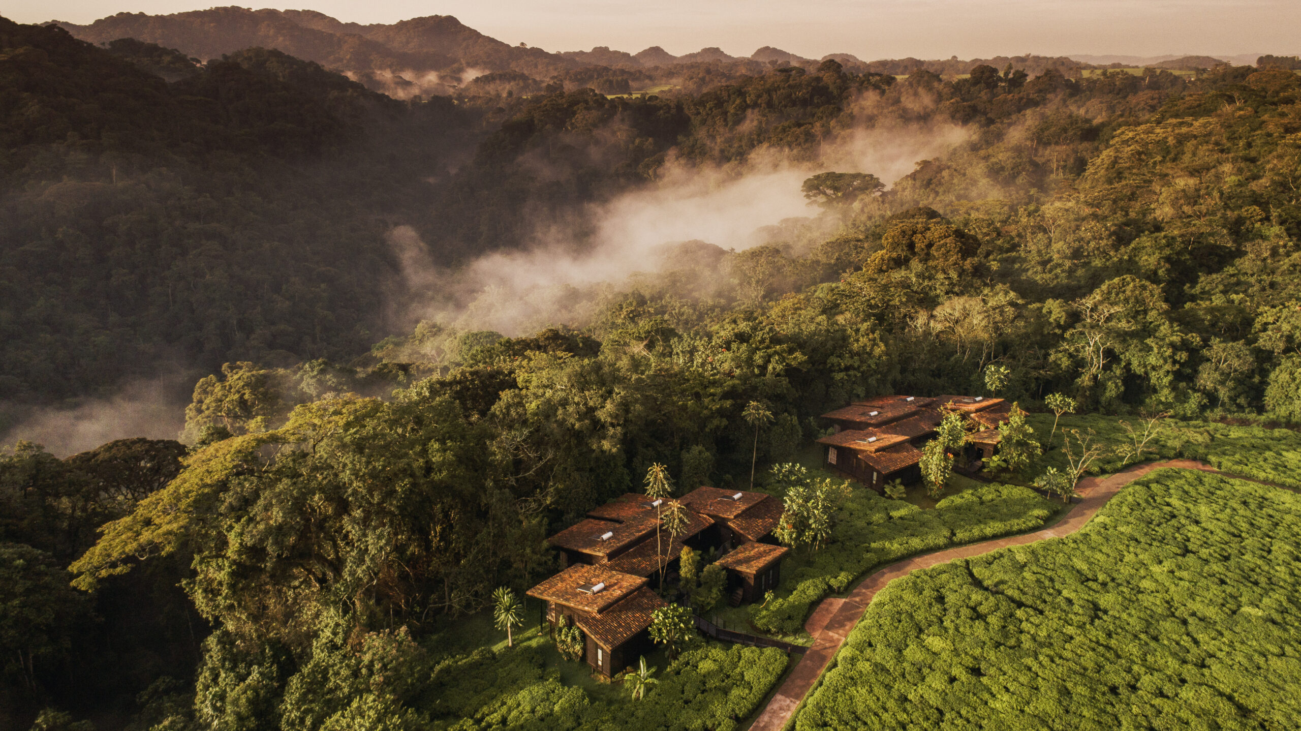 One&Only Nyungwe House 