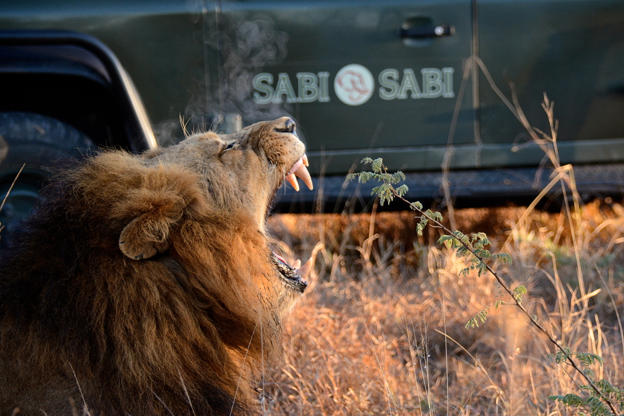 Sabi Sabi Private Game Reserve