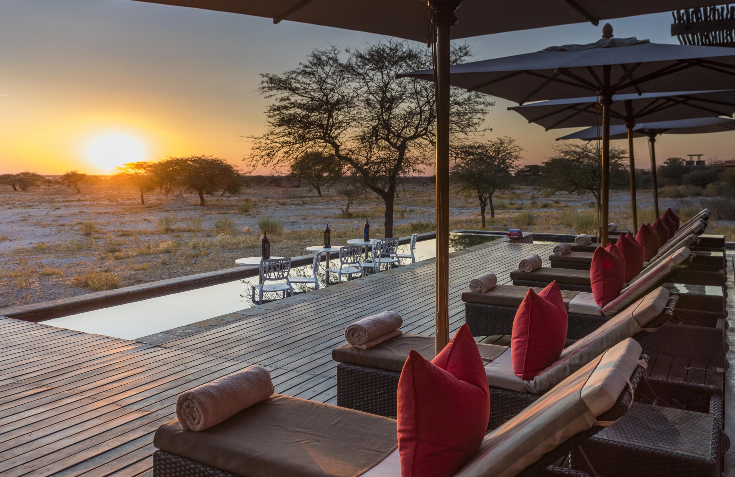 David Rogers, Onguma The Fort