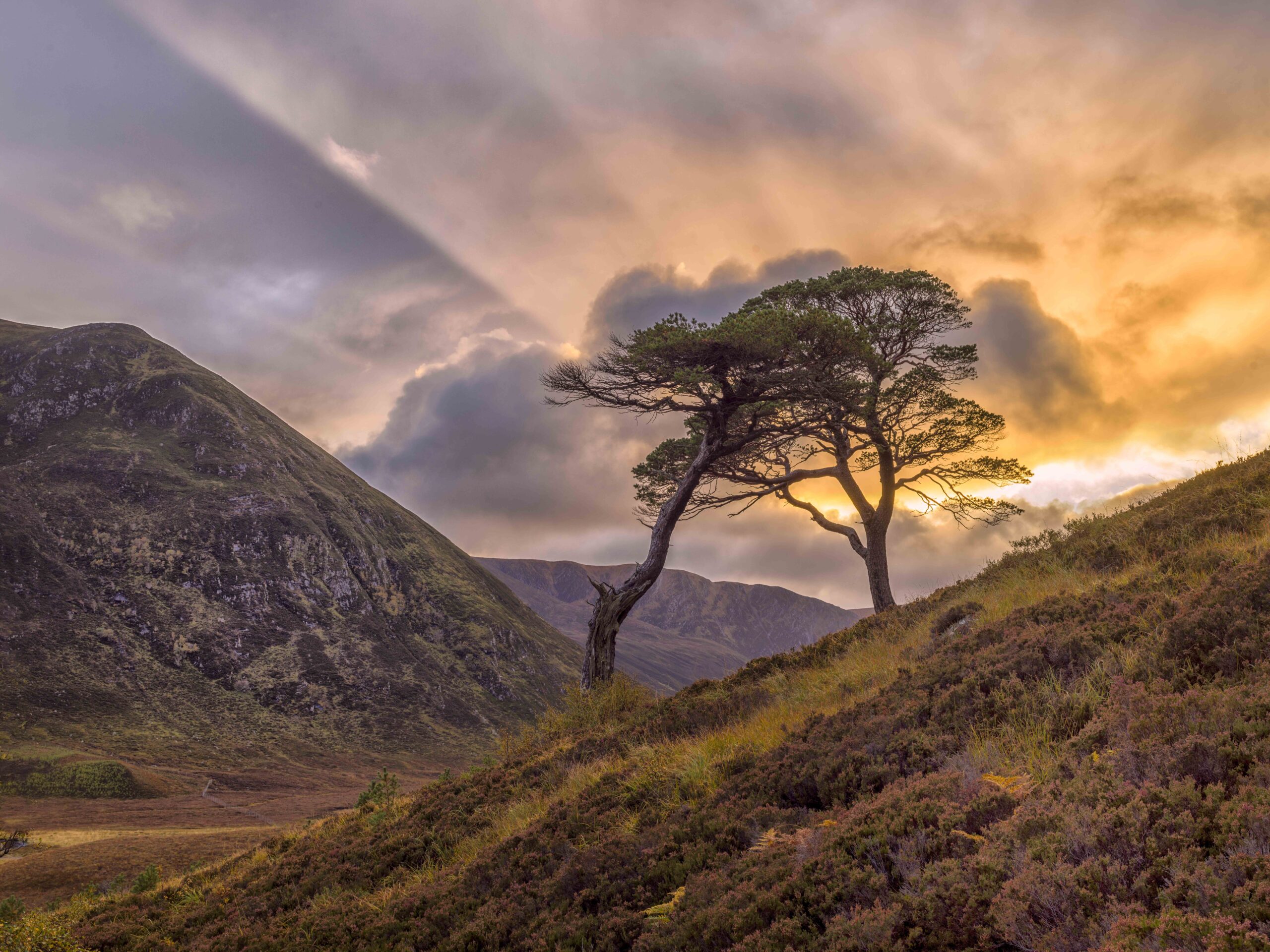 Alladale Wilderness Reserve, Adrian Houston