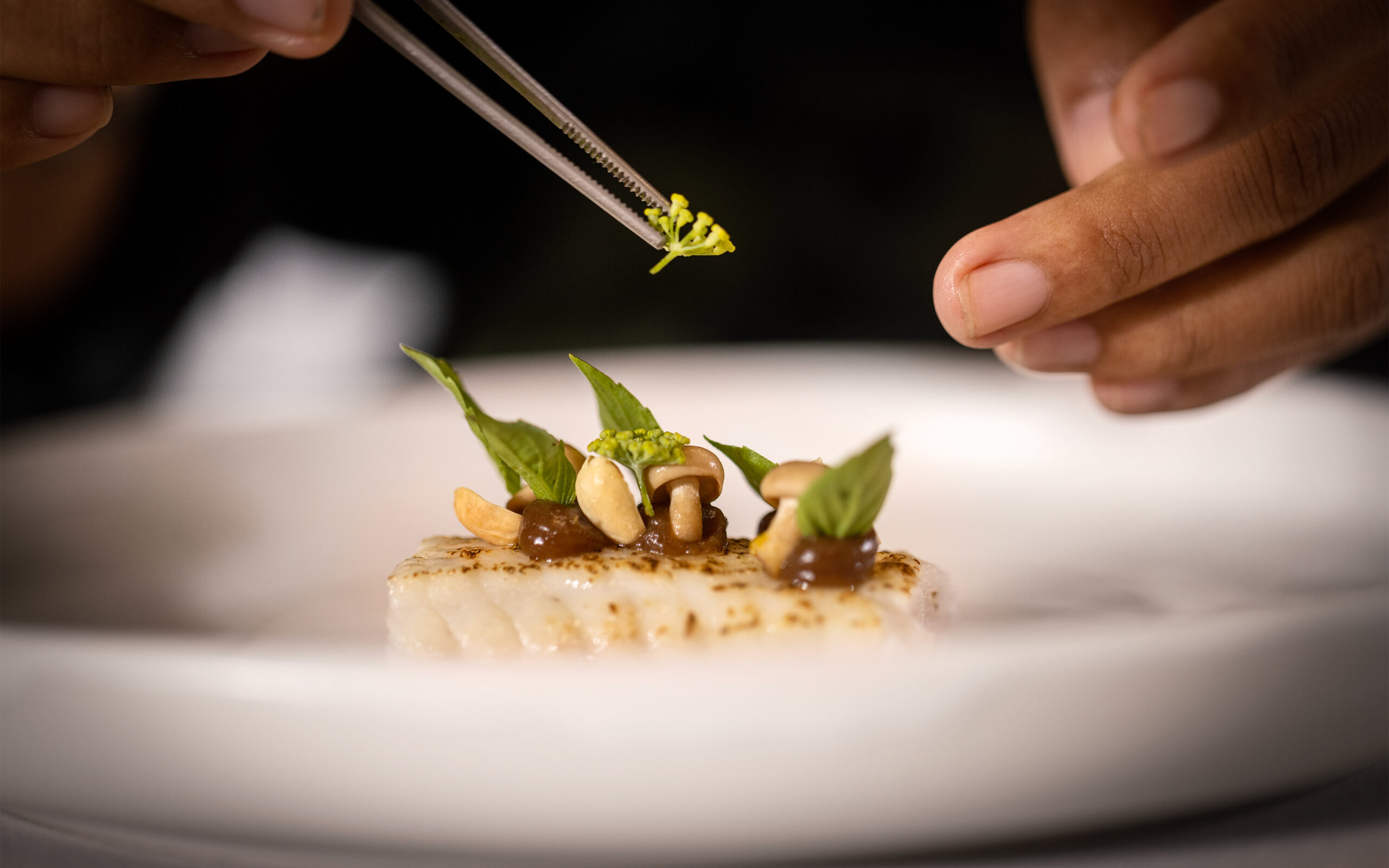 Farmhouse Resort & Spa