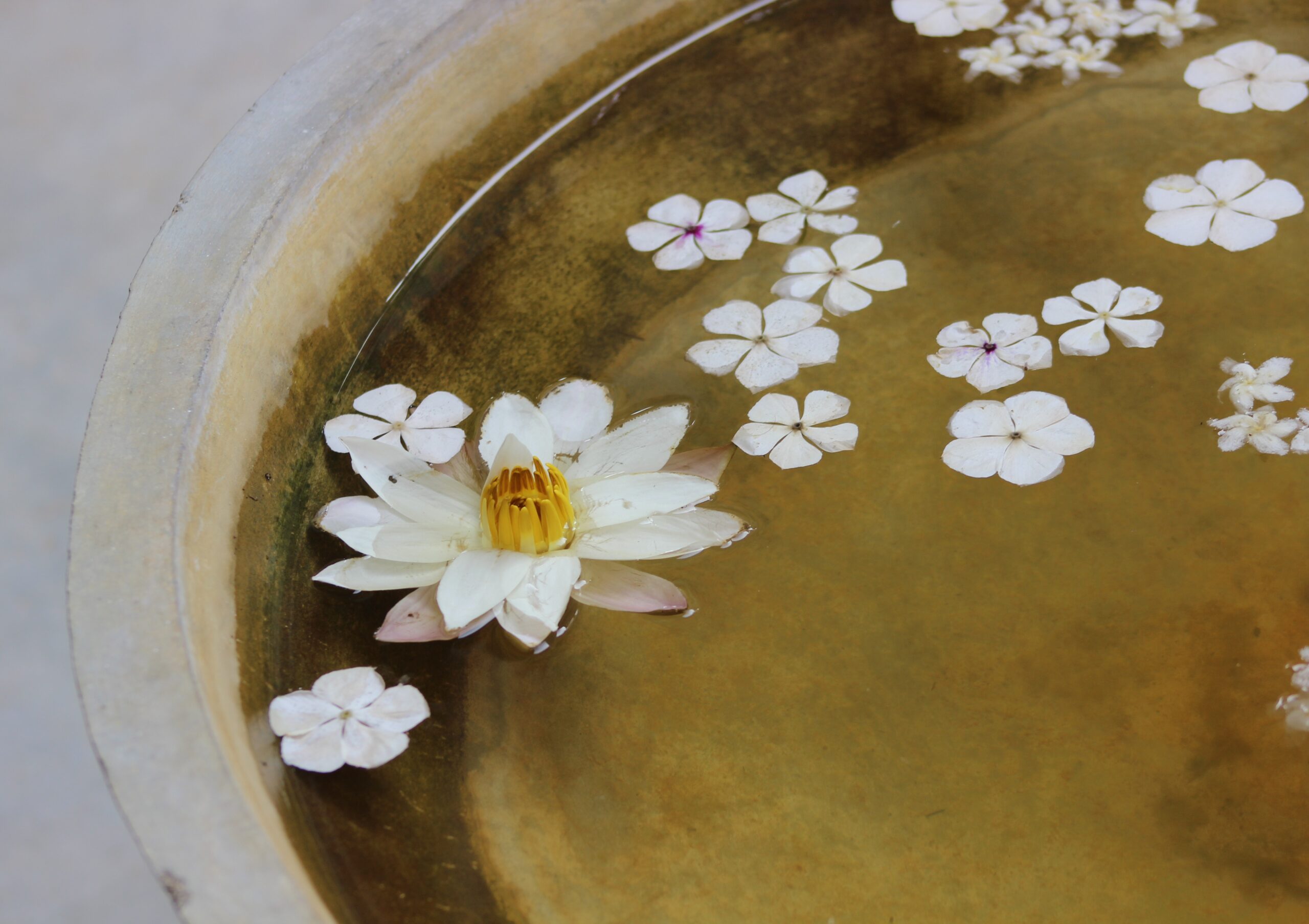 Sen Wellness Sanctuary