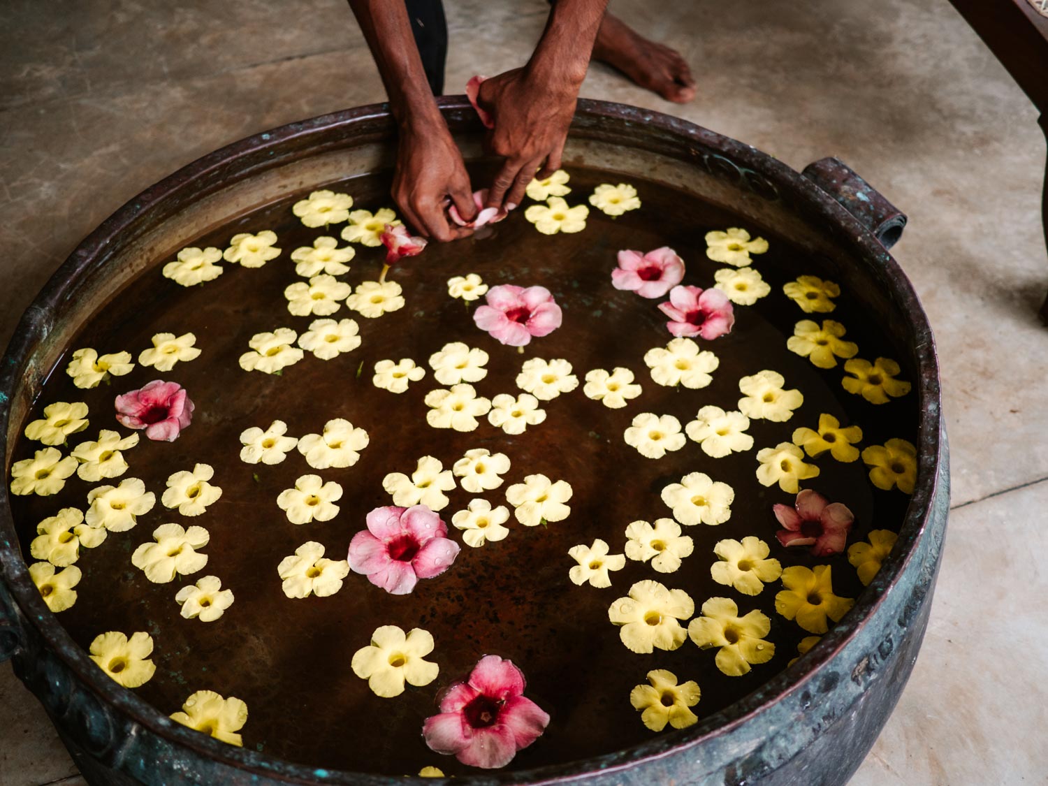 Sen Wellness Sanctuary