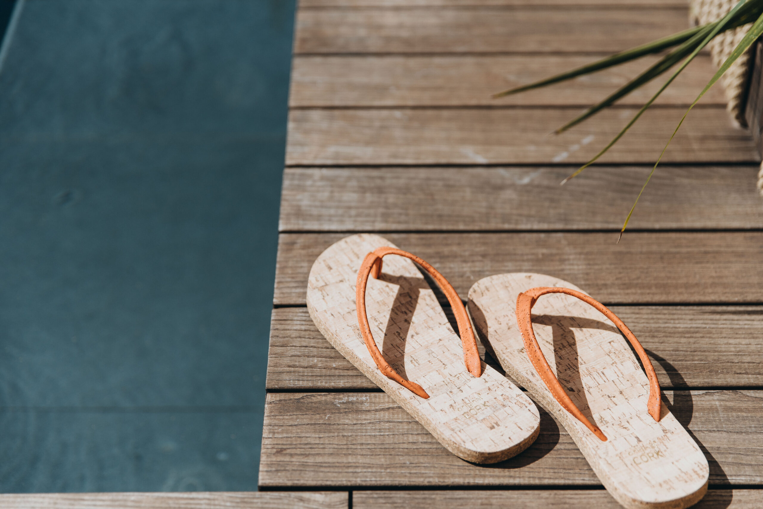 Maslina Resort, Kate Sevo