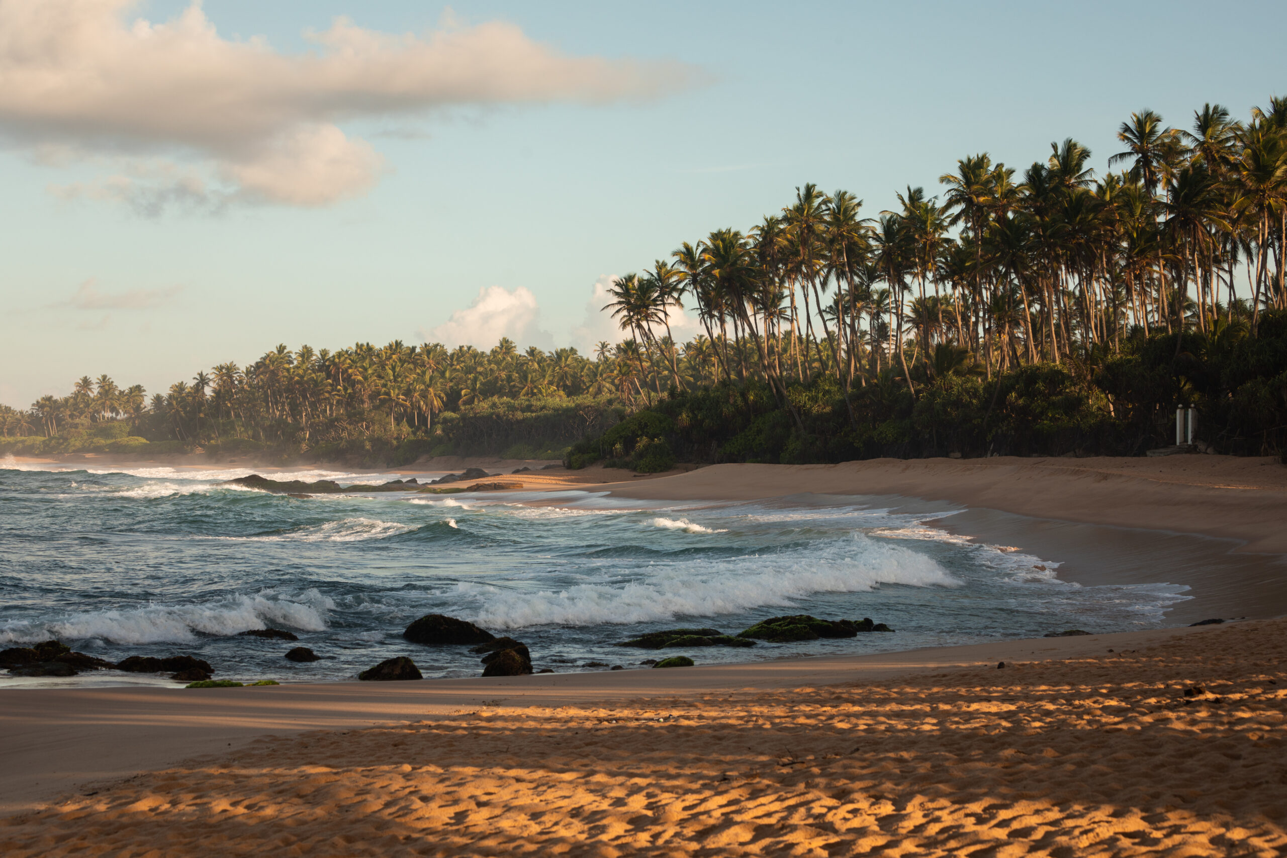 Sen Wellness Sanctuary