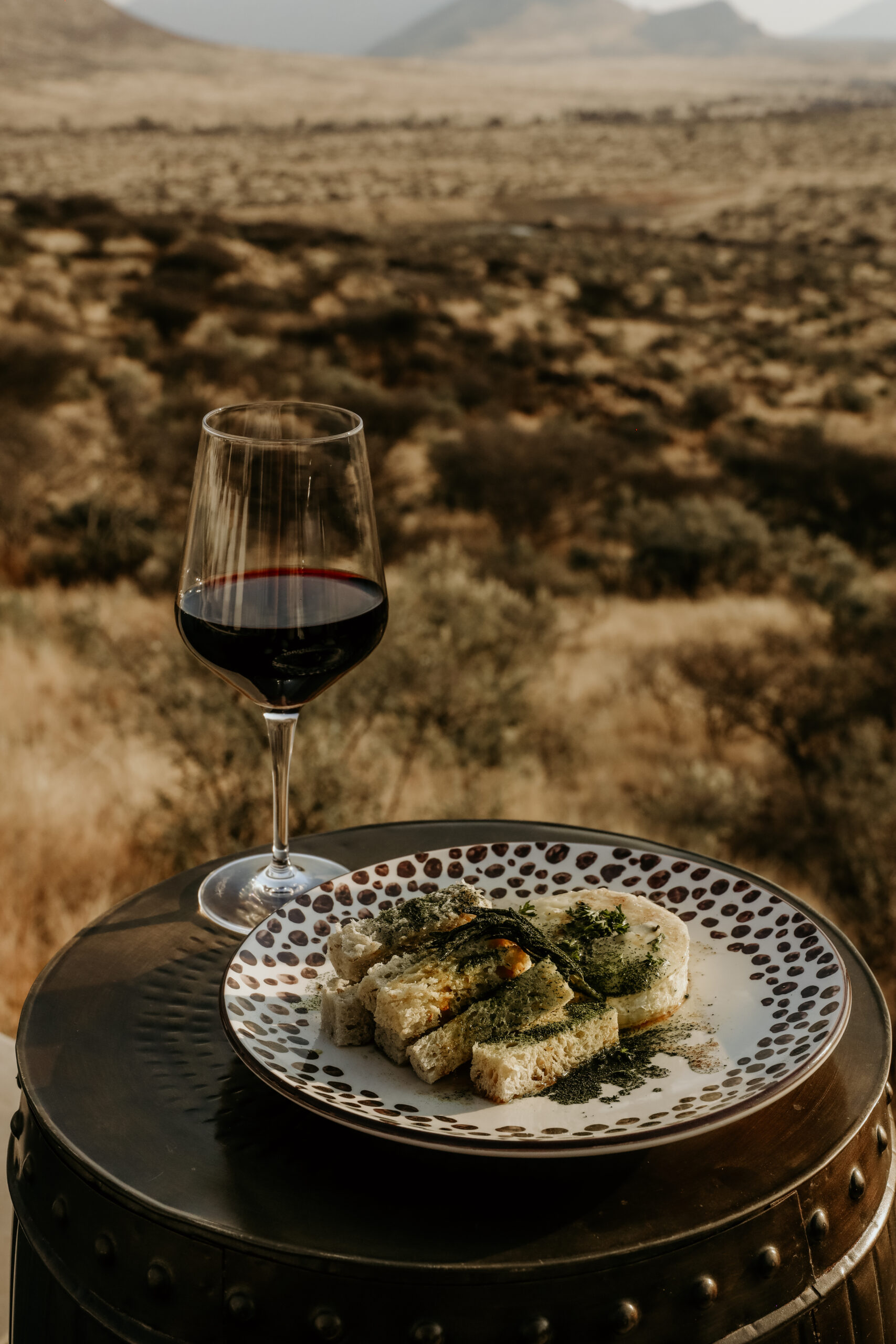 Gmundner Lodge Taryn Germishuizen