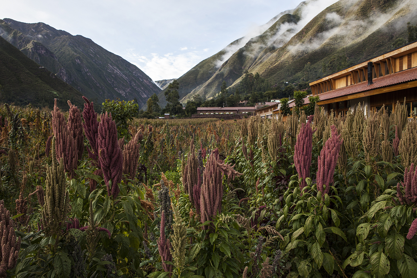 Explora Valle Sagrado