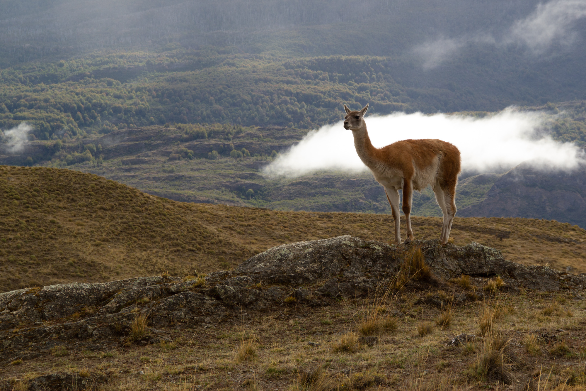 Explora Parque Nacional