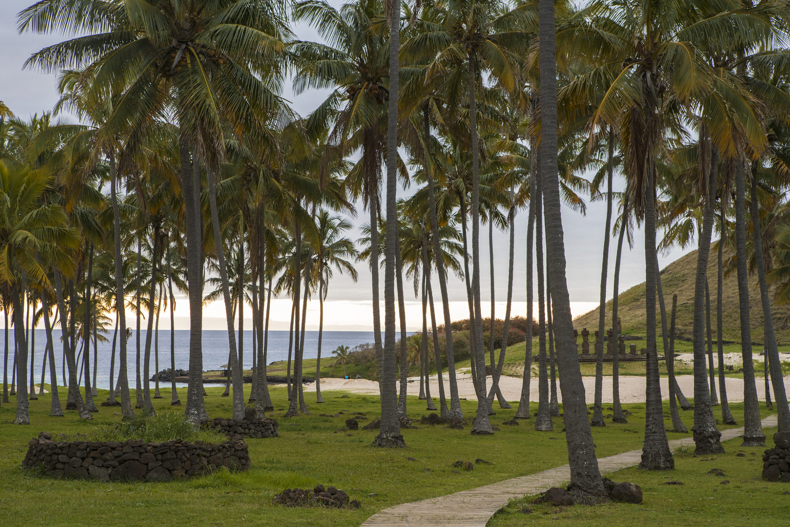 Explora Rapa Nui
