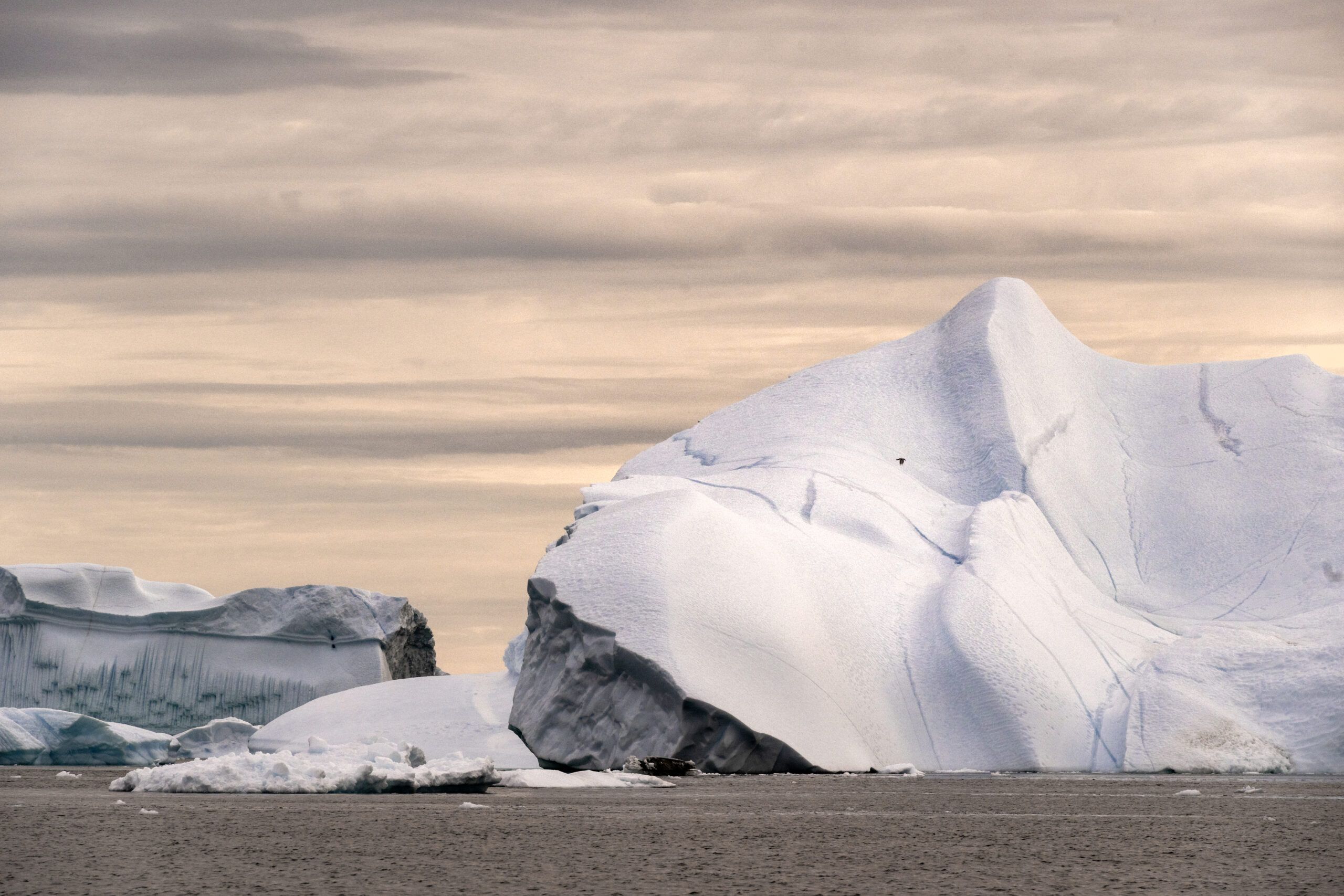 Remoteexperiences, Nomad Greenland