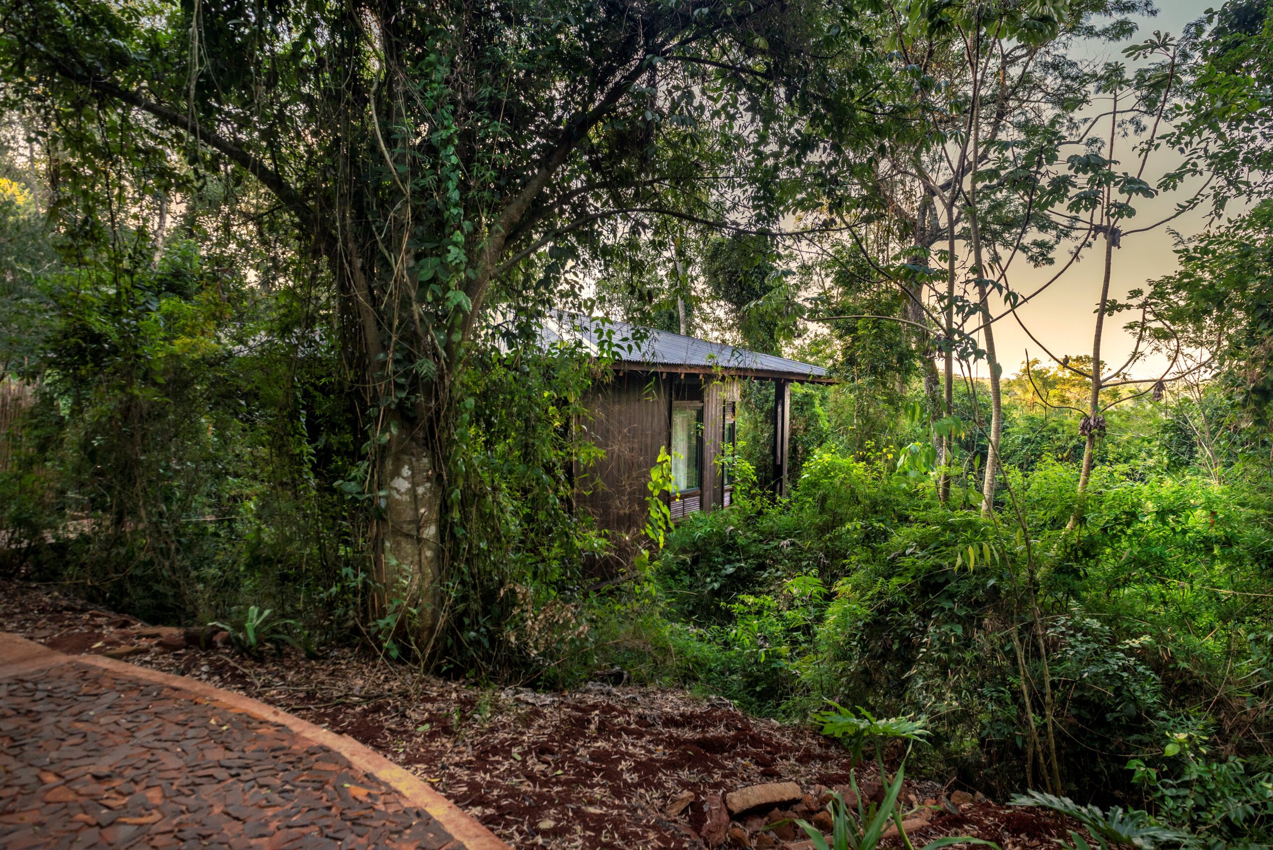 Awasi Iguazu, Susette Kok