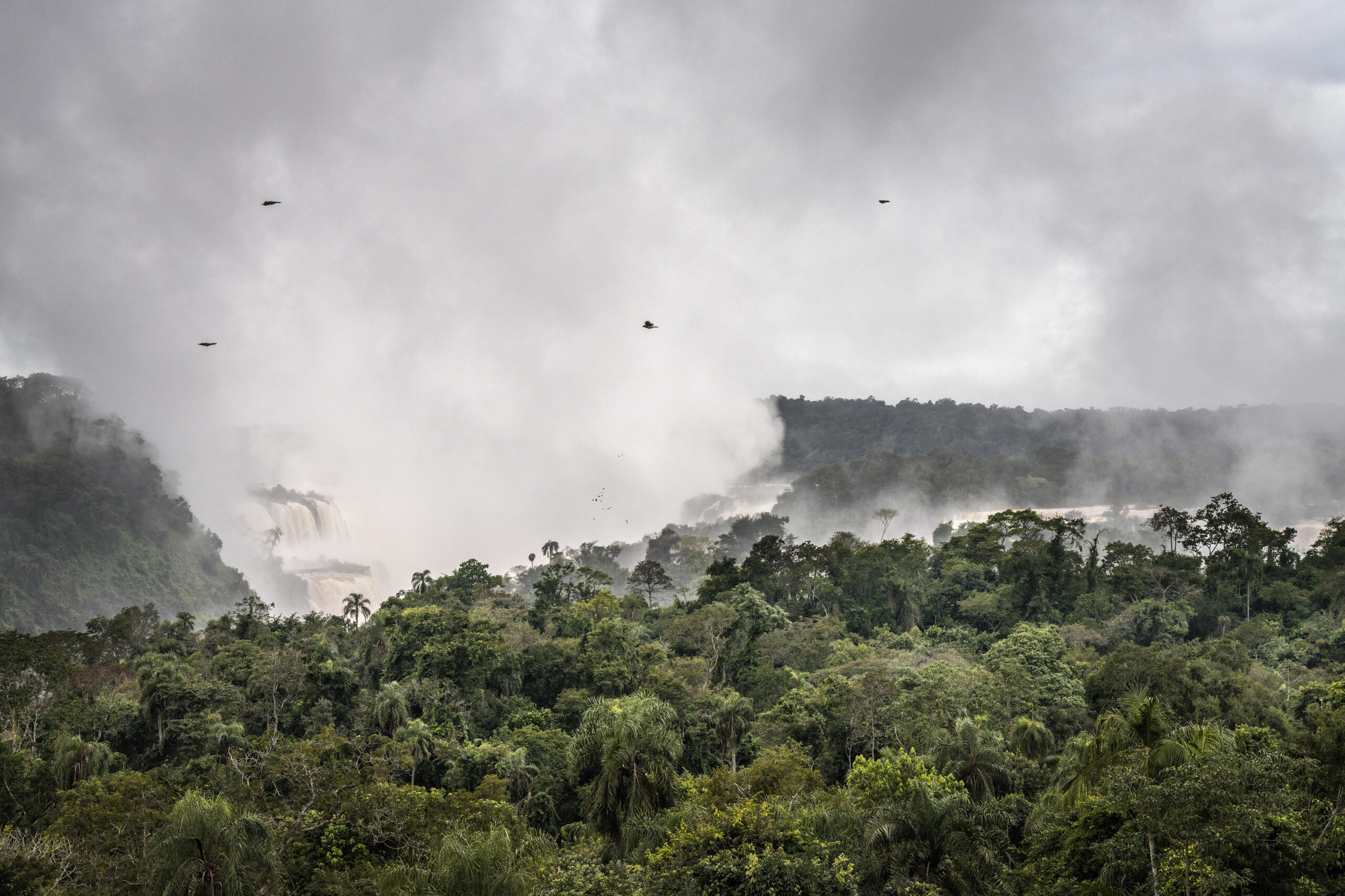 Awasi Iguazu, Ingrid Weyland