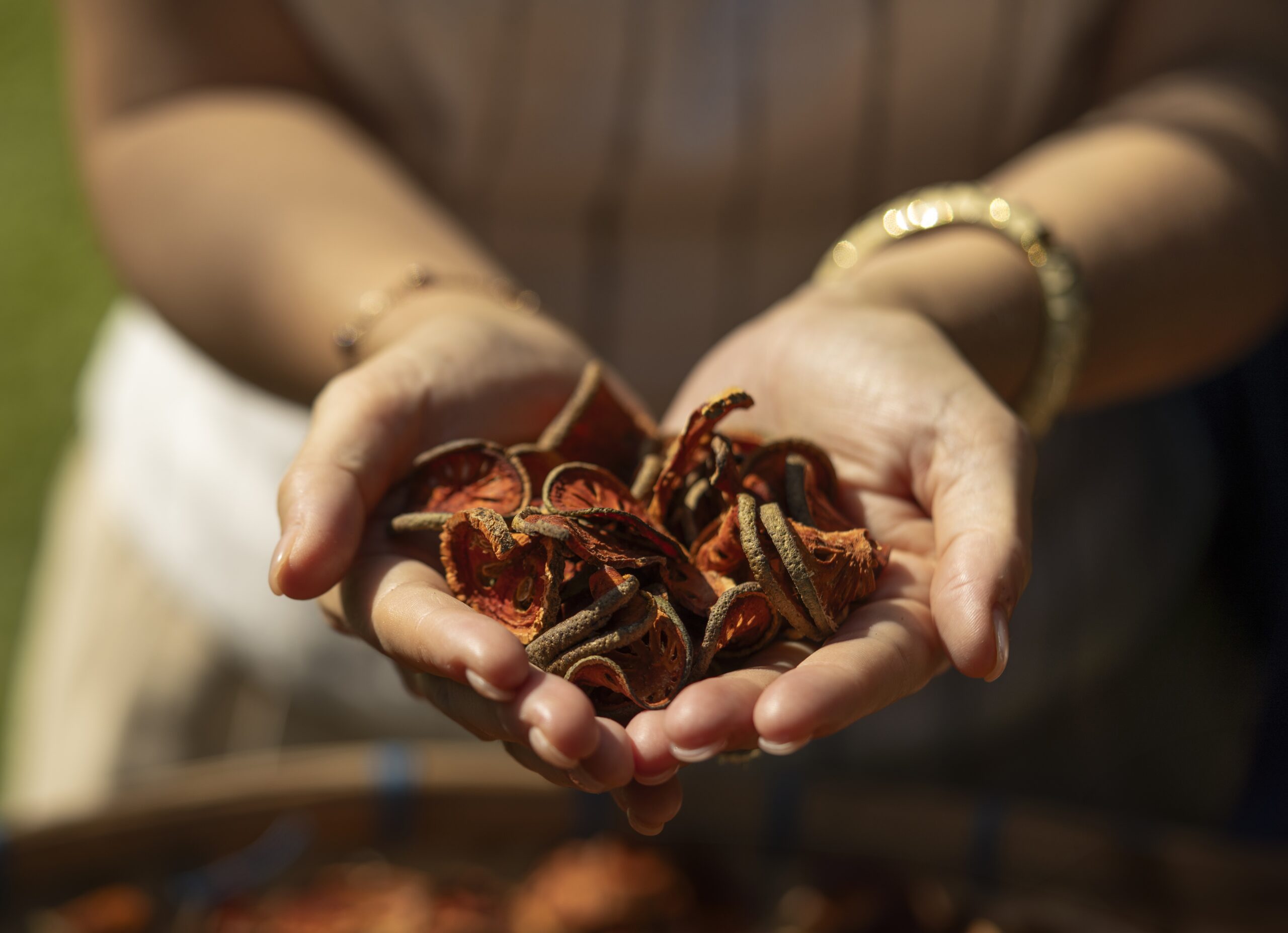 Mekong Kingdoms Bohème