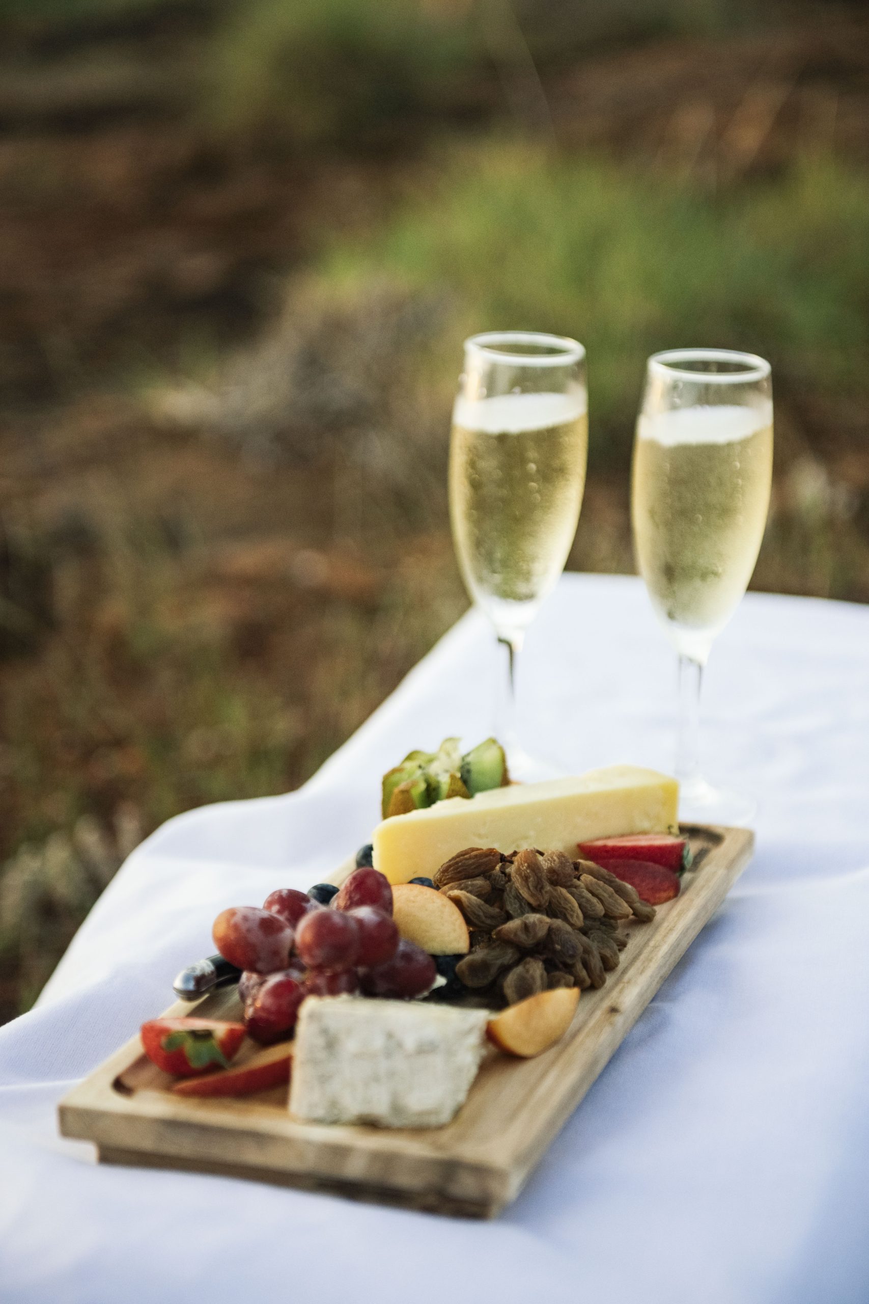 True North Adventure Cruises