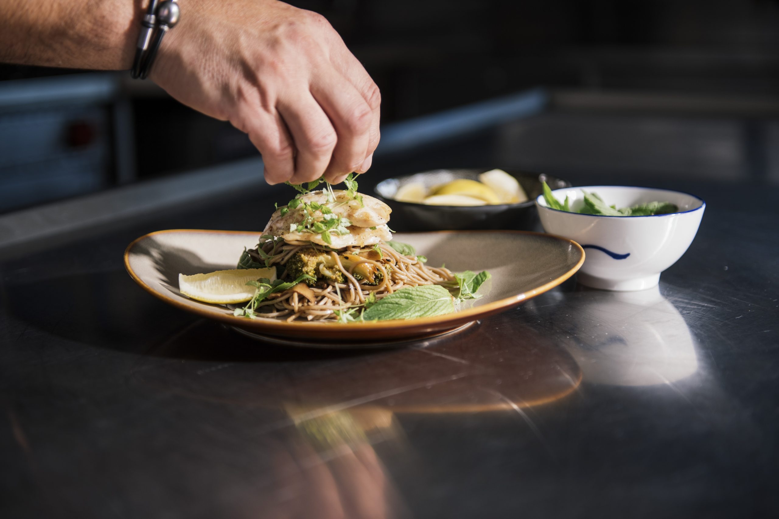 True North Adventure Cruises