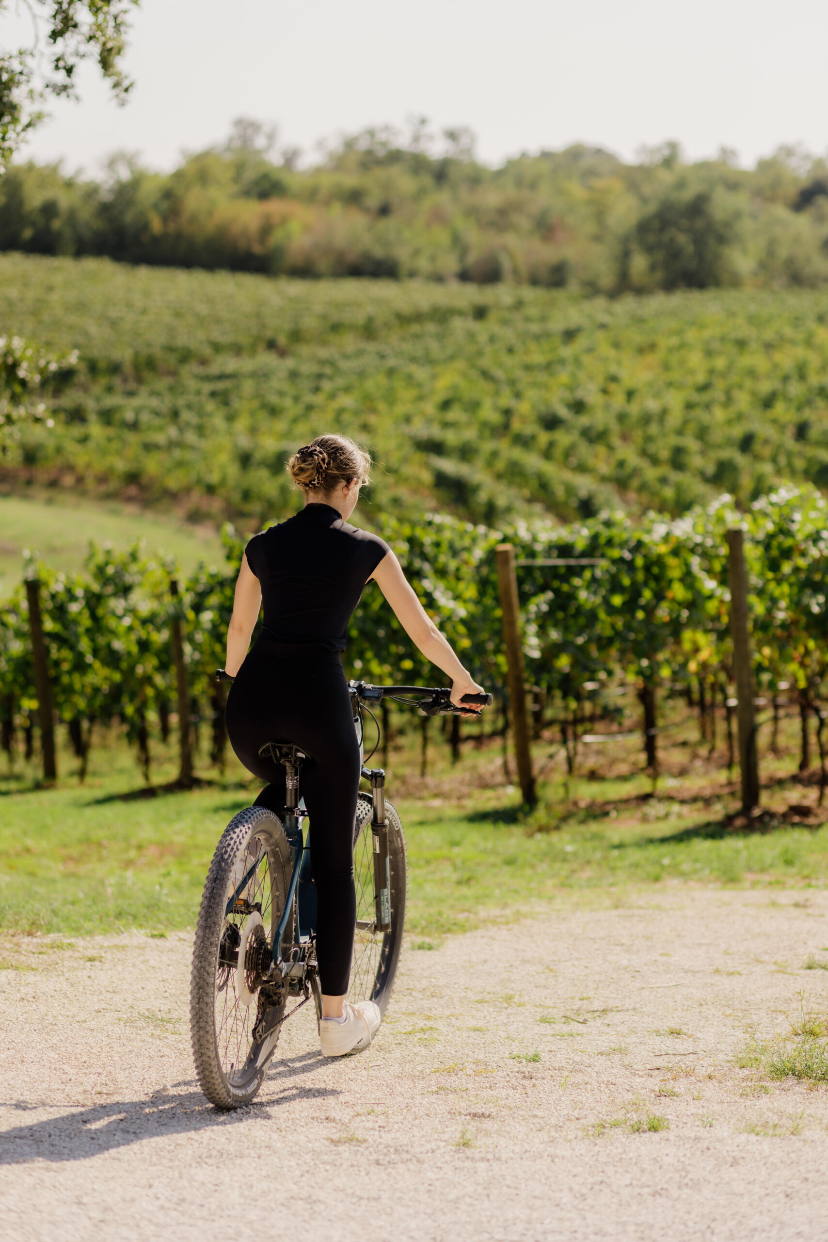 Meneghetti Wine Hotel & Winery