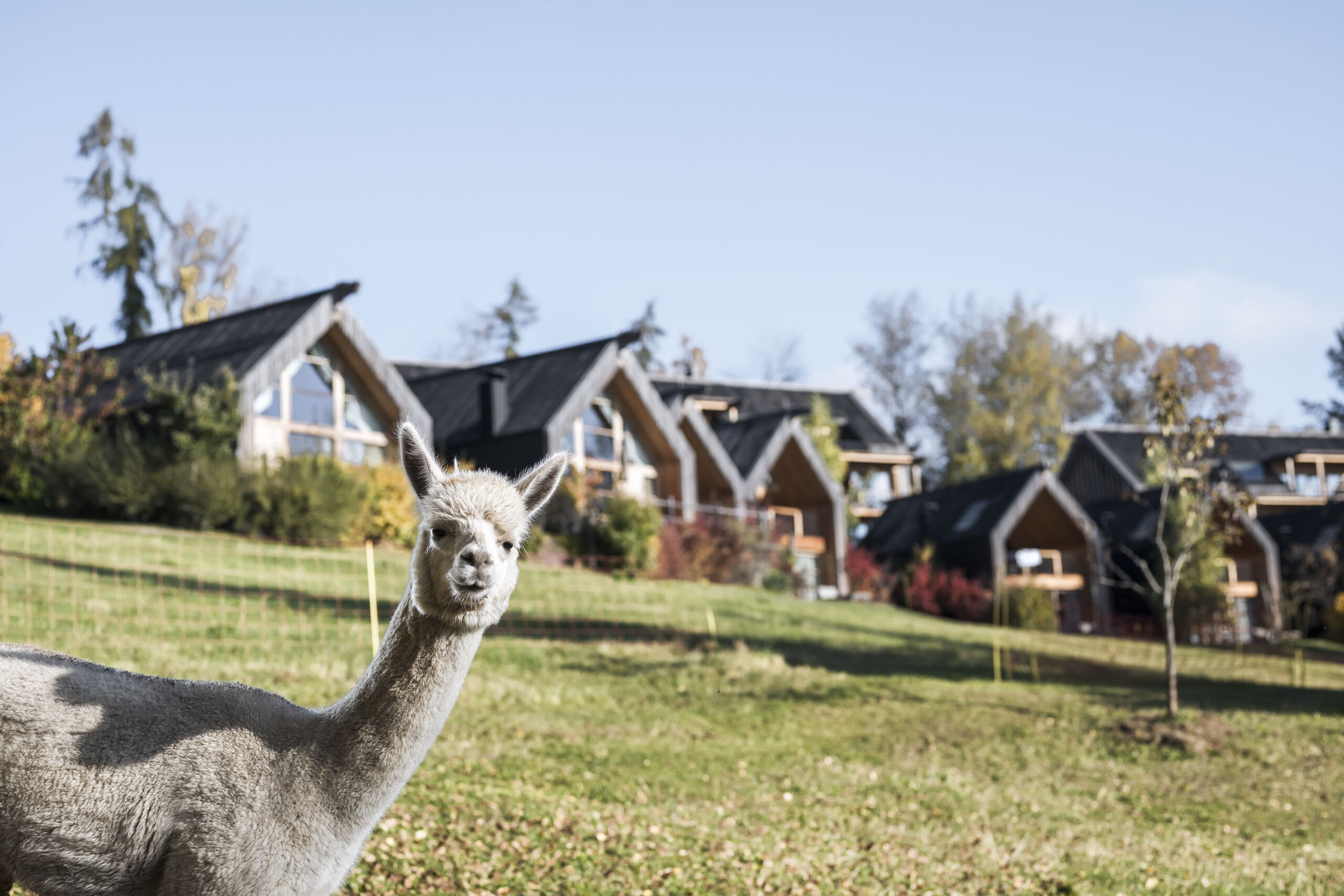 Adler Lodge Ritten / Alex Filz